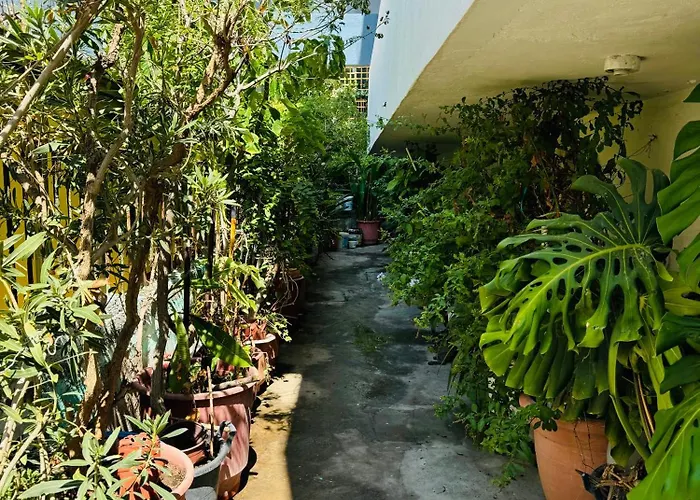 Aelios House Rhodes City